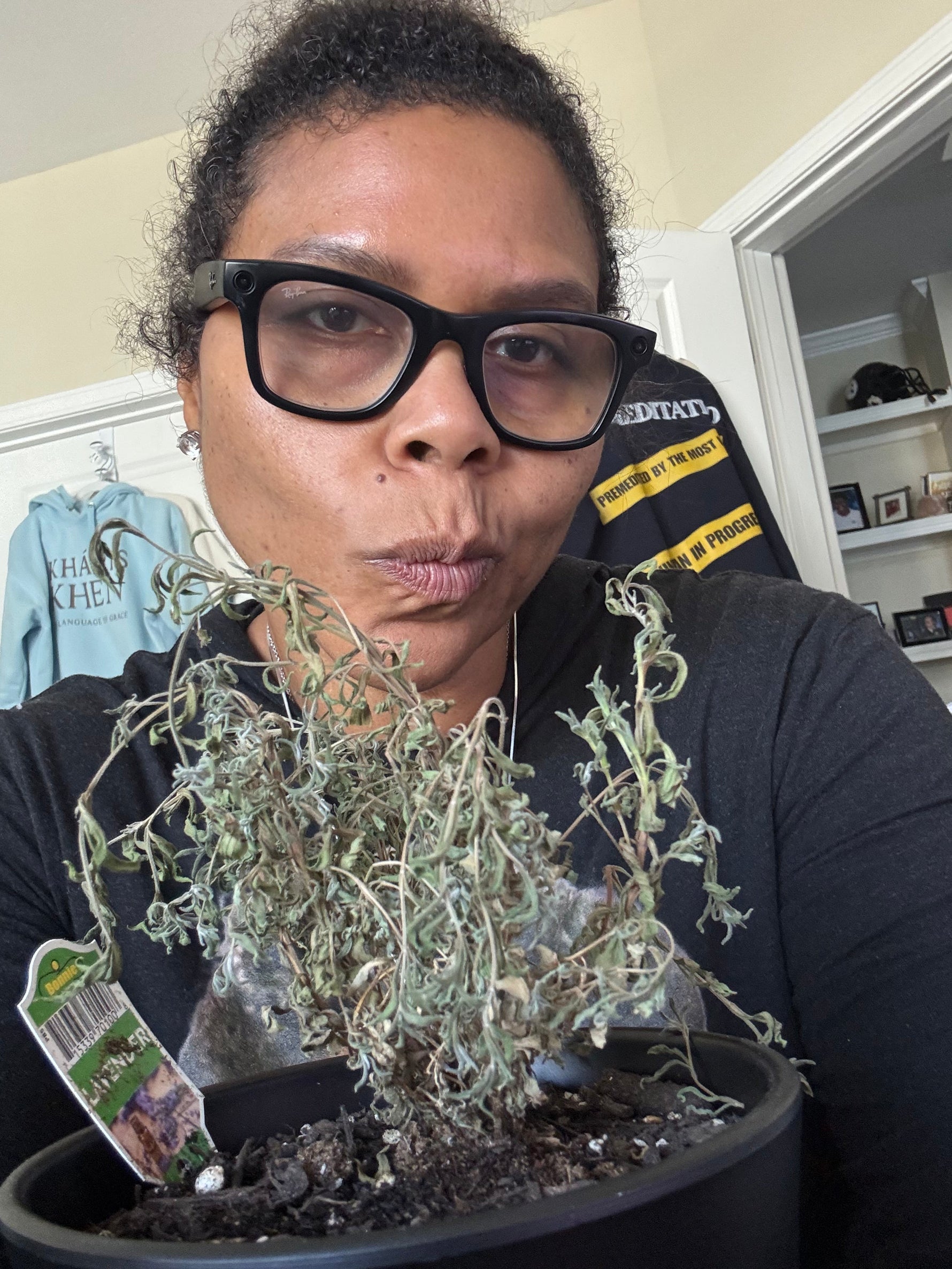I was finally winning with plants… until lavender came to snatch my confidence.